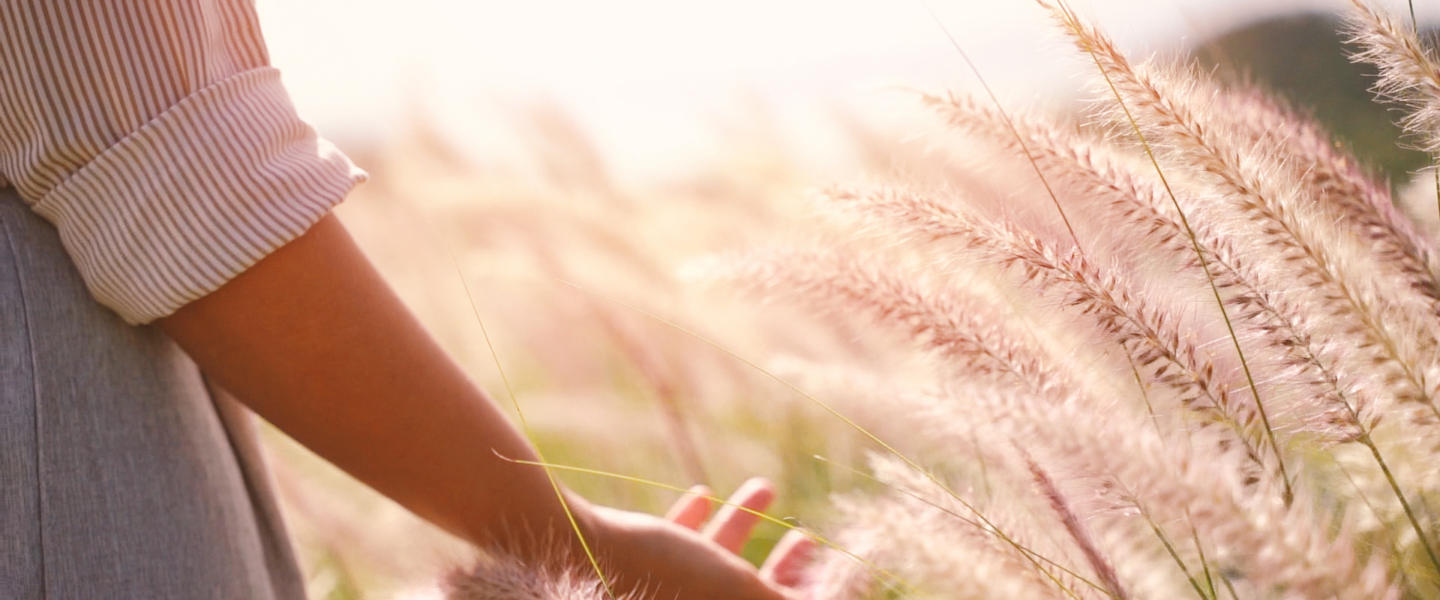 Femme caressant épis de blés dans la douceur d'un beau soleil. Beaucoup de bien-être se dégage de cette atmosphère.